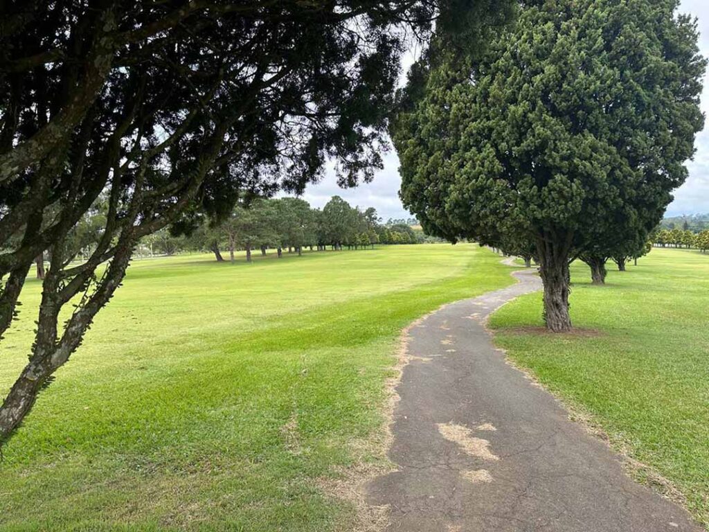 2025, Edi&ccedil;&atilde;o 2025